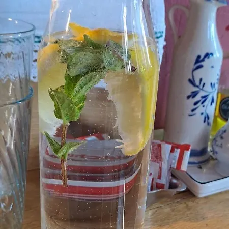 ファームステイ Czule Miejsce Zdory